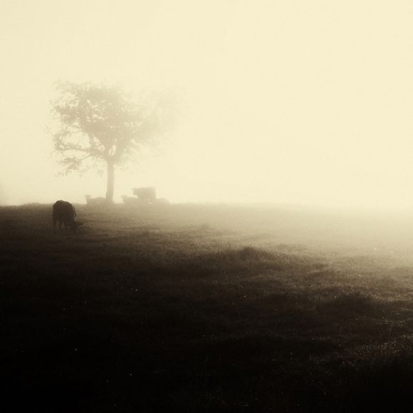 帝都求生必备技能：如何在雾霾天拍出好照片？