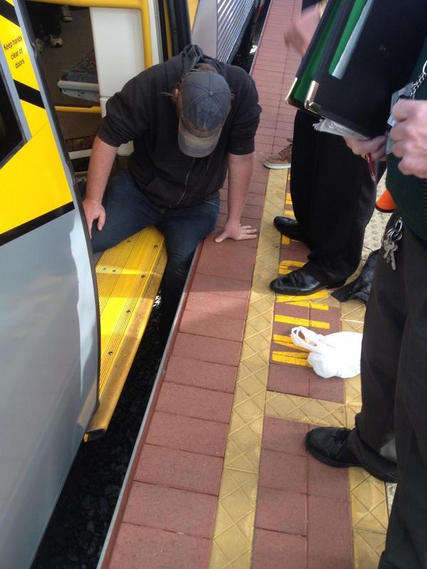 澳大利亚人在乘客被卡在月台缝隙后是什么反应？| jiaren.org