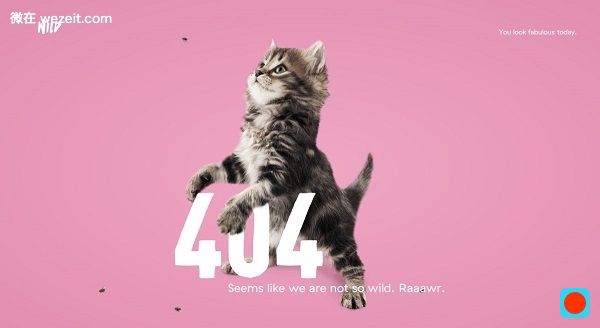 its-hard-to-beat-the-combination-of-a-kitten-and-a-compliment-from-design-agency-wild