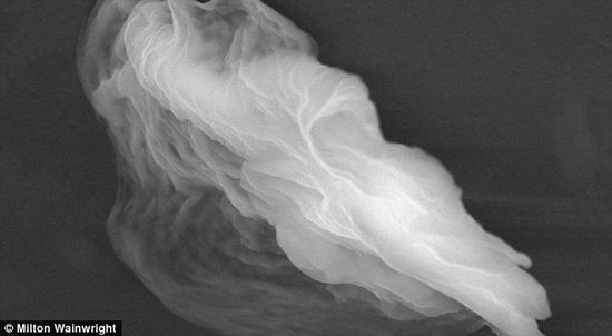 维克拉玛辛格教授和他的同事弥尔顿·温莱特博士在一份采自地球高层大气中的样品进行分析时发现了一些奇特的颗粒，就像这里的这颗被称为“幽灵颗粒”（ghost particle）。他们认为这些证据证明了近距离飞掠的彗星在地球上播撒了生命物质，但这一观点仍然存在着很大争议
