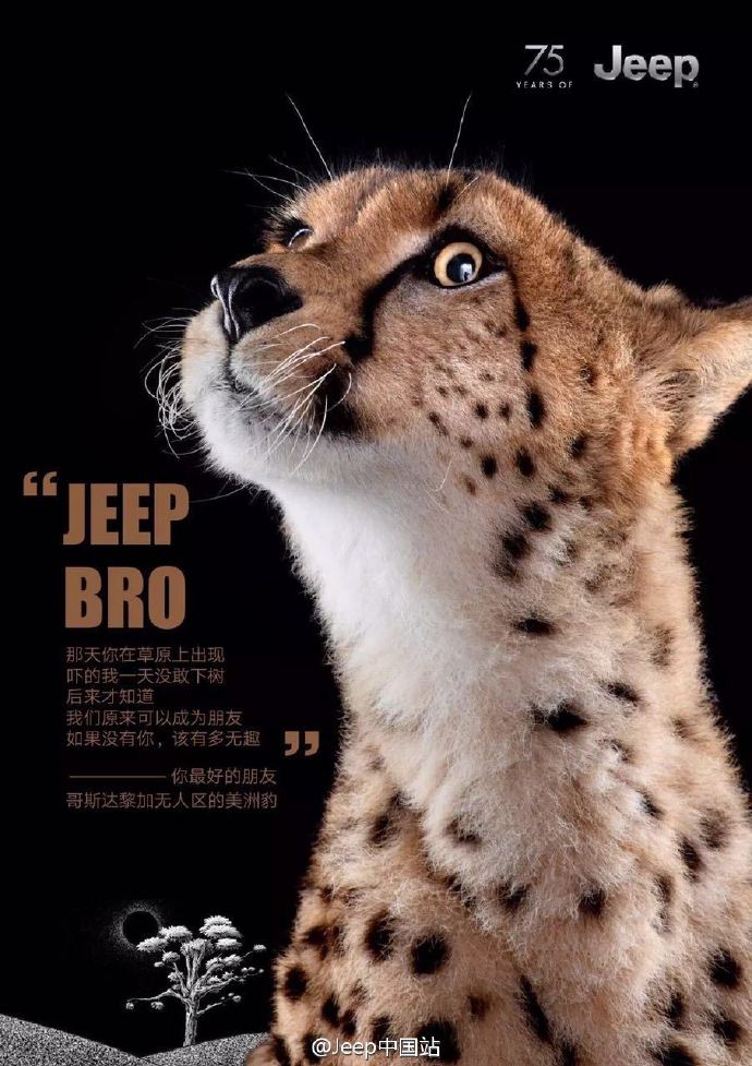 Jeep 75周年生日之际，世界各地的动物们竟然发来了贺电……