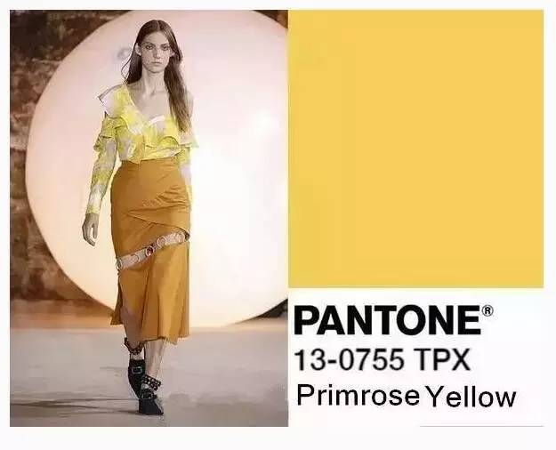 樱草黄（Primrose Yellow 13-0755）