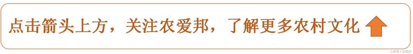 在农村这些歇后语,大家都听过吗?你能说出几句?