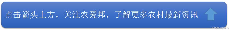 2017宅基地新政策出台:以下这几类宅基地将会被回收!