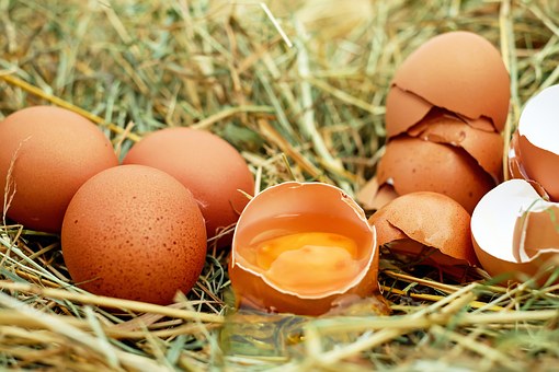 蛋, 鸡鸡蛋, 生鸡蛋, 蛋壳, 蛋黄, 生物